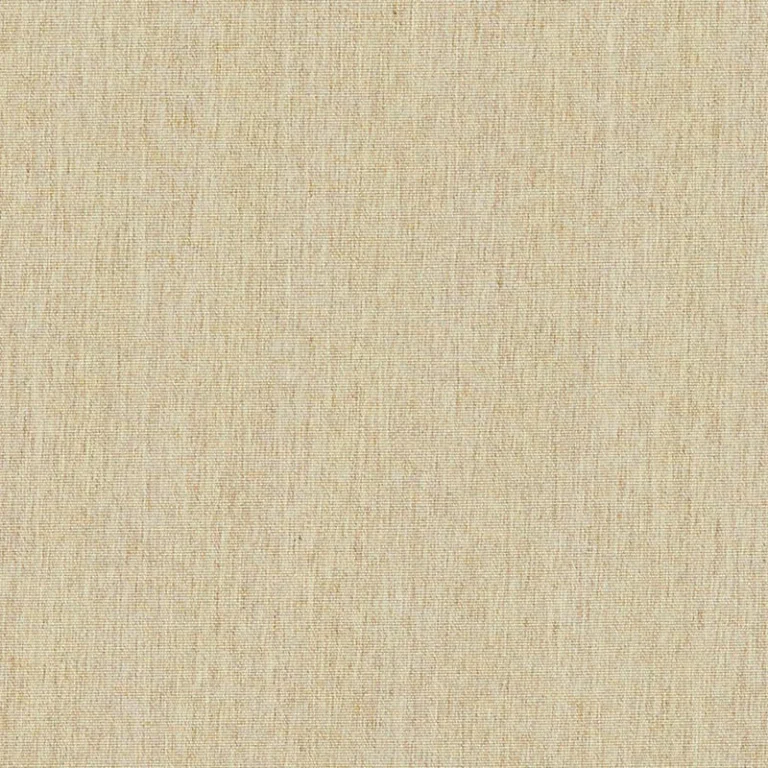 CANVAS EGG SHELL