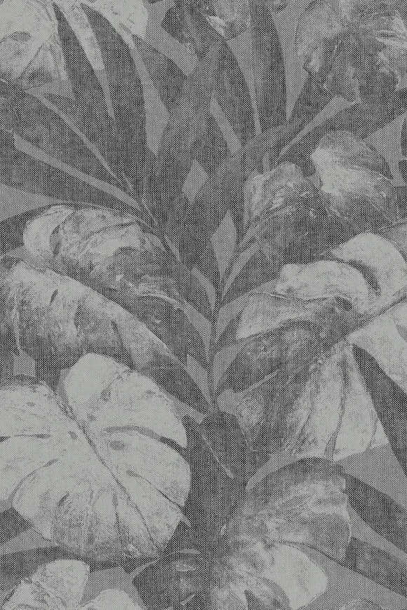 Expédition Pave du Nord — Image 2