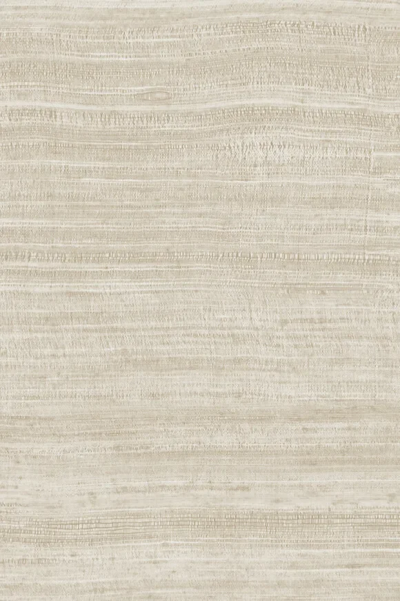 Tasar Silver Sand — Ảnh 2