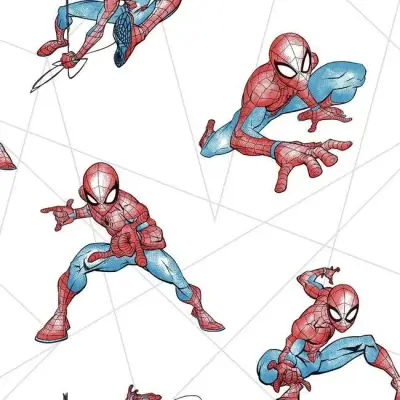 Spider-man Fracture — DI0939