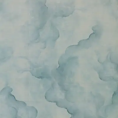 Digital Murals Flight
