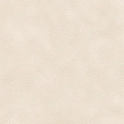 Vinyl Luxe Leathers