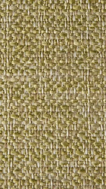 Vải bọc GTA Ter Molst Kiwi 191024