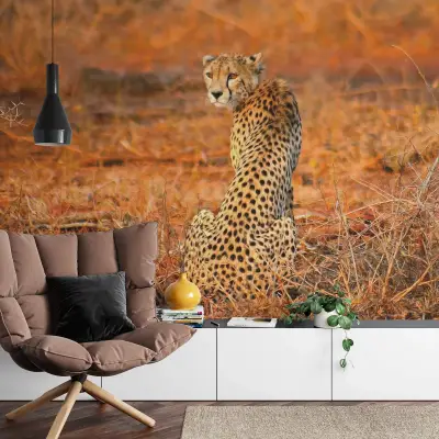Leopard Safari - Wall Mural 5075 - 4 Panel - 192cm x 260cm