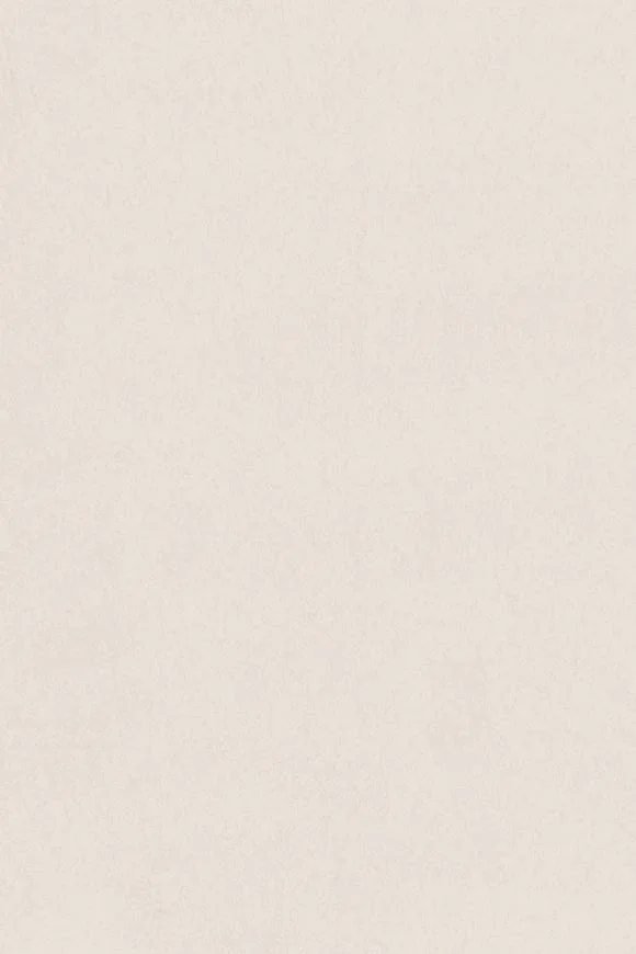 Noble Nougat — Image 2
