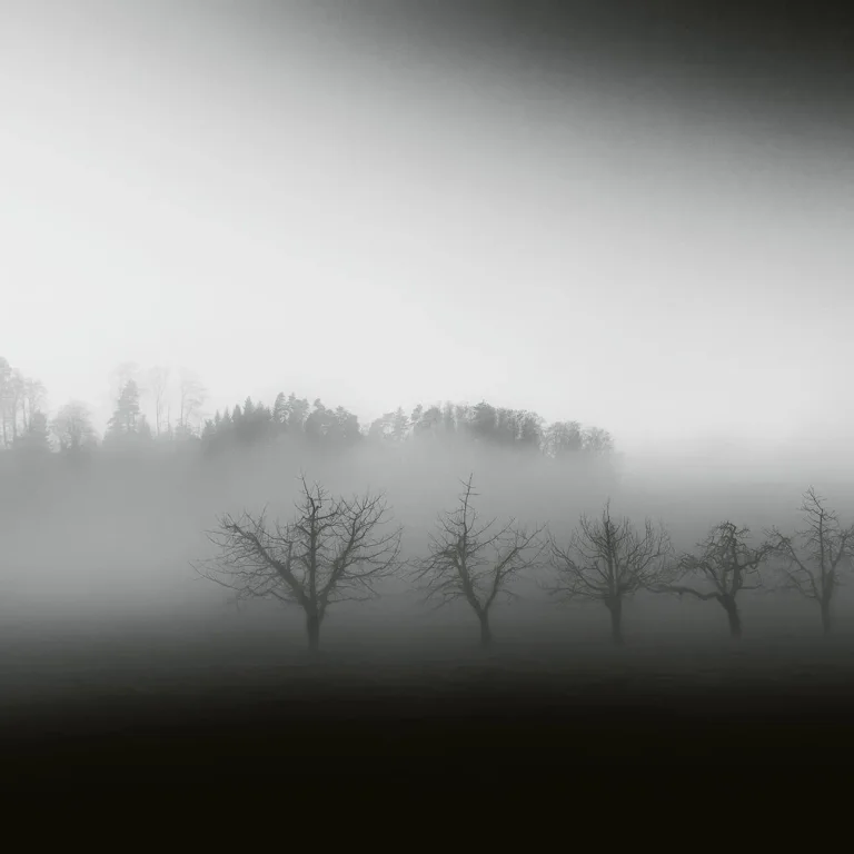 Foggy Landscape - Wall Mural 5097 - 8 Panel - 384cm x 260cm — Image 2