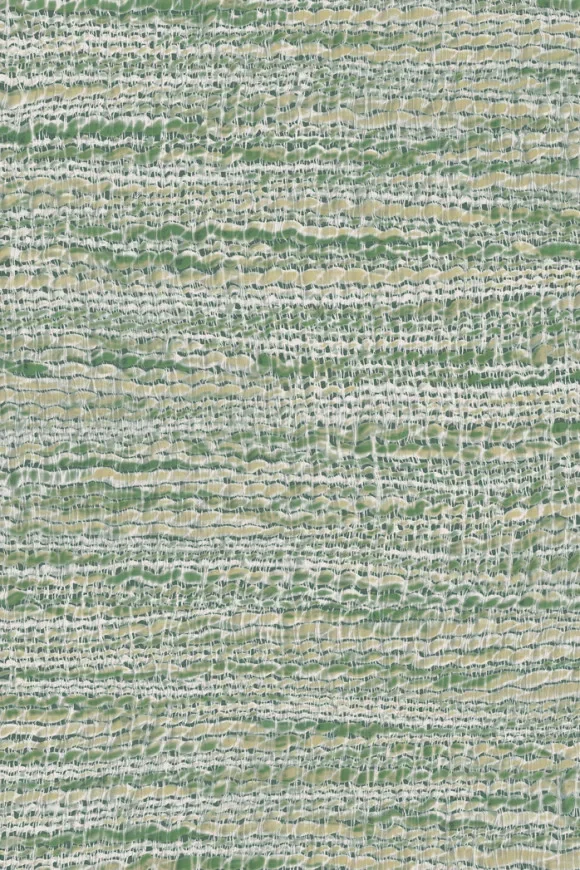 Ritorto Fern — Ảnh 2