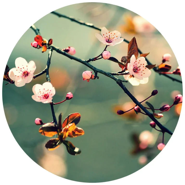 Spring Awakening - Wall Mural 5520 - 4 Panel - 192cm x 260cm — Ảnh 4
