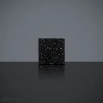G047 BLACK BIRD