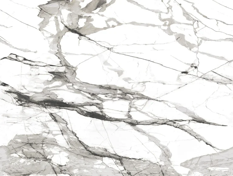 Imperial Marble Wall Mural - Black & White