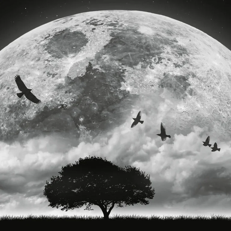 Moon & Birds - Wall Mural 5464 - 4 Panel - 192cm x 260cm — Ảnh 3