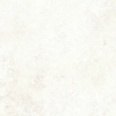 The Basic - White Beige Tone PT.02
