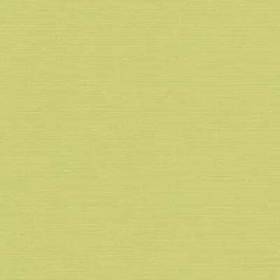 CANVAS LIME