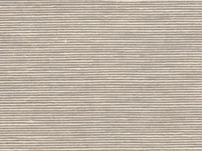 Stripe Sequin Weaving 20020715