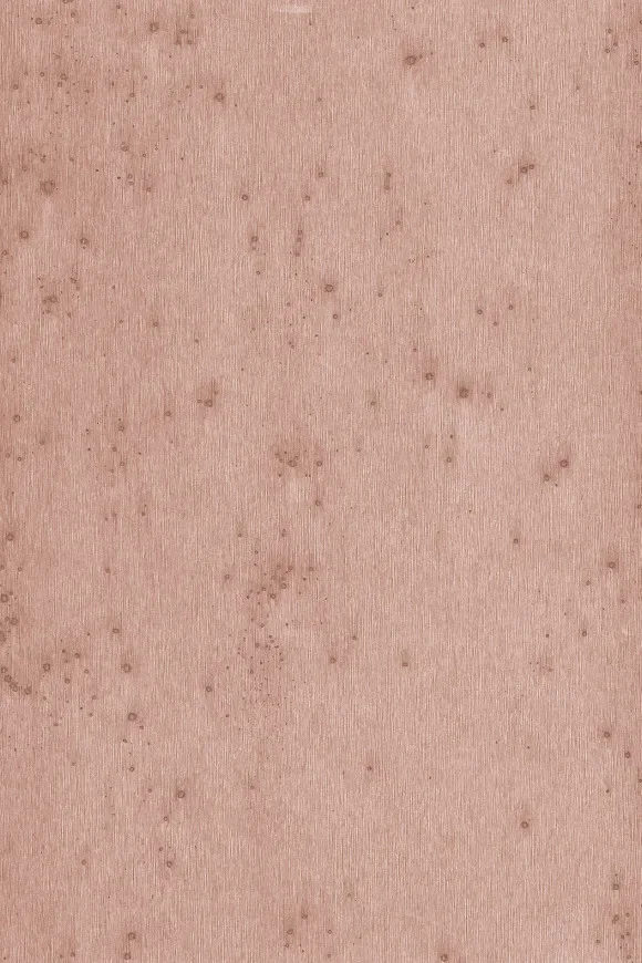 Stellar 37503A — Ảnh 2