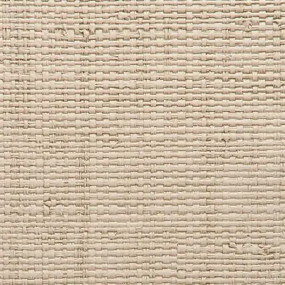 Vinyl Island Raffia