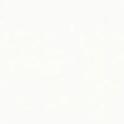 The Basic - White Beige Tone PT.02