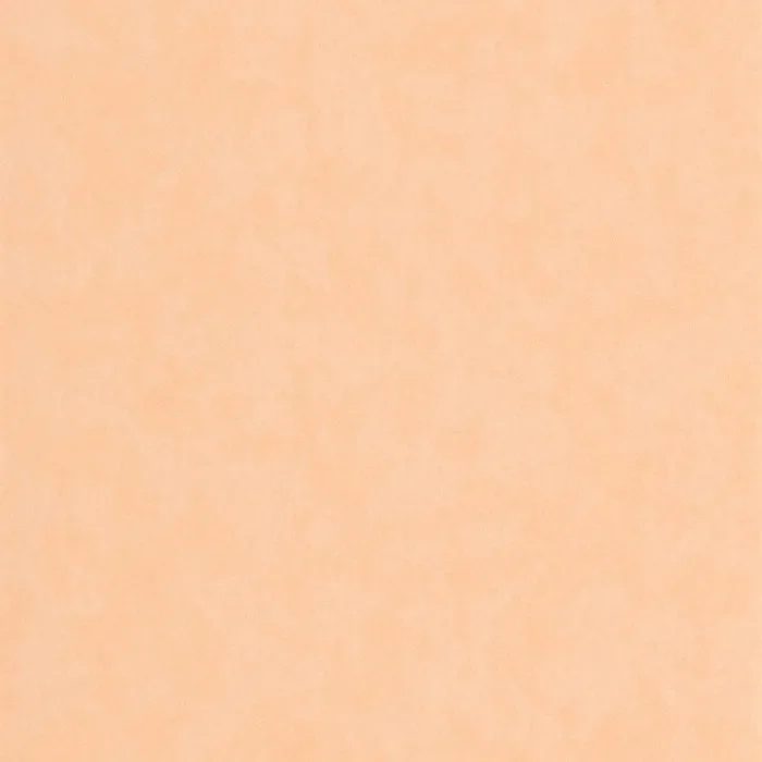 VALLAURIS 89853232 — Ảnh 2