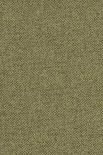 Belgian Linen