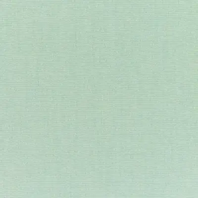 CANVAS SPA