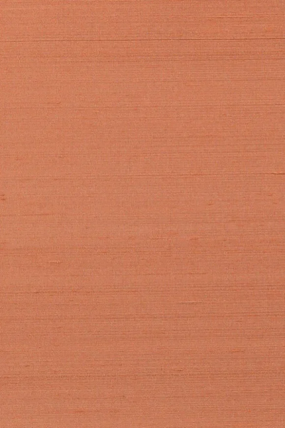 Papillon Tomato — Ảnh 2