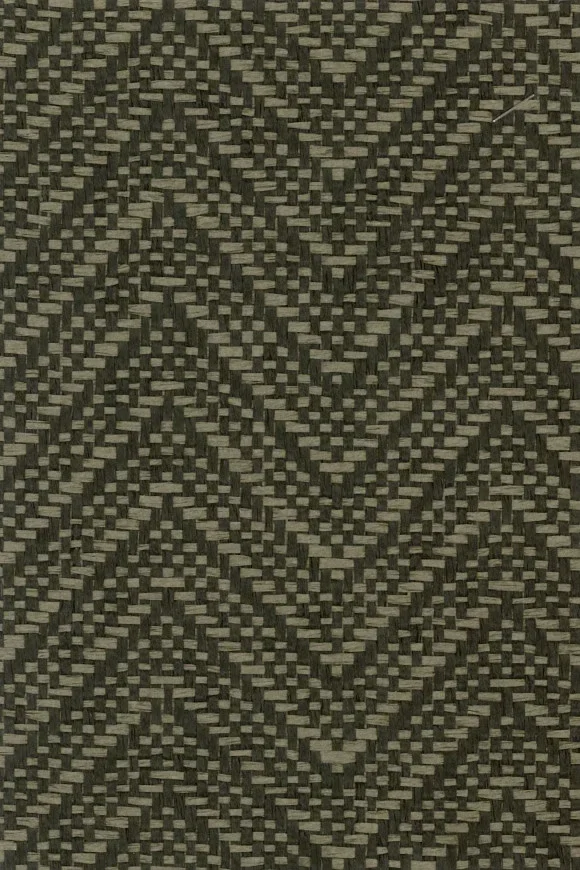 Harmony Bronze — Ảnh 3