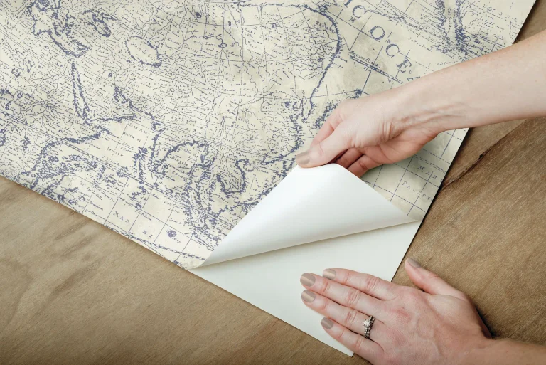 Coastal Map Peel and Stick Wallpaper - Sepia/Navy — Image 6