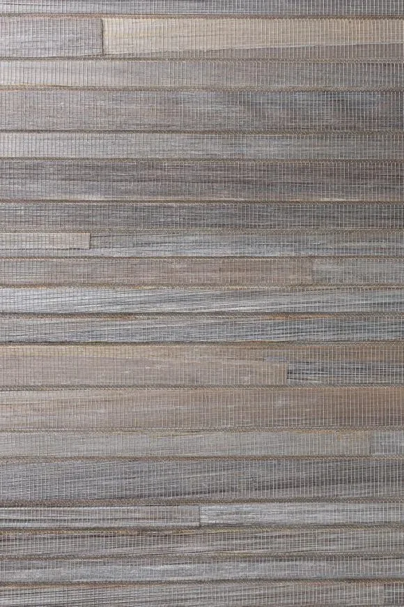 Casalian Dove — Ảnh 2