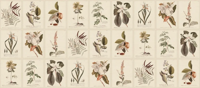 Flora Wallpaper, Sepia