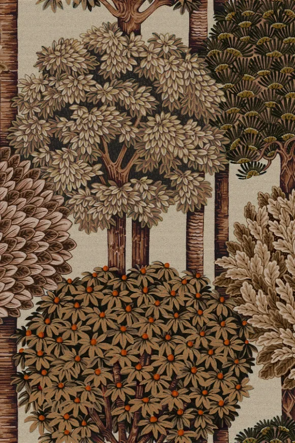 Mont Royal Bark — Ảnh 2