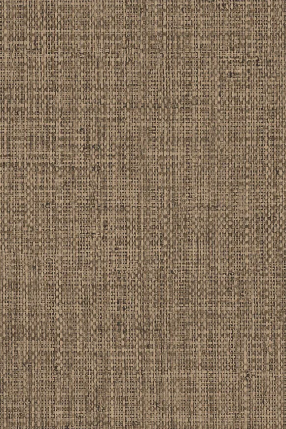 Nongo Chocolate — Ảnh 2