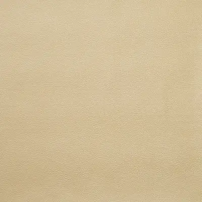 Vinyl Luxe Leathers