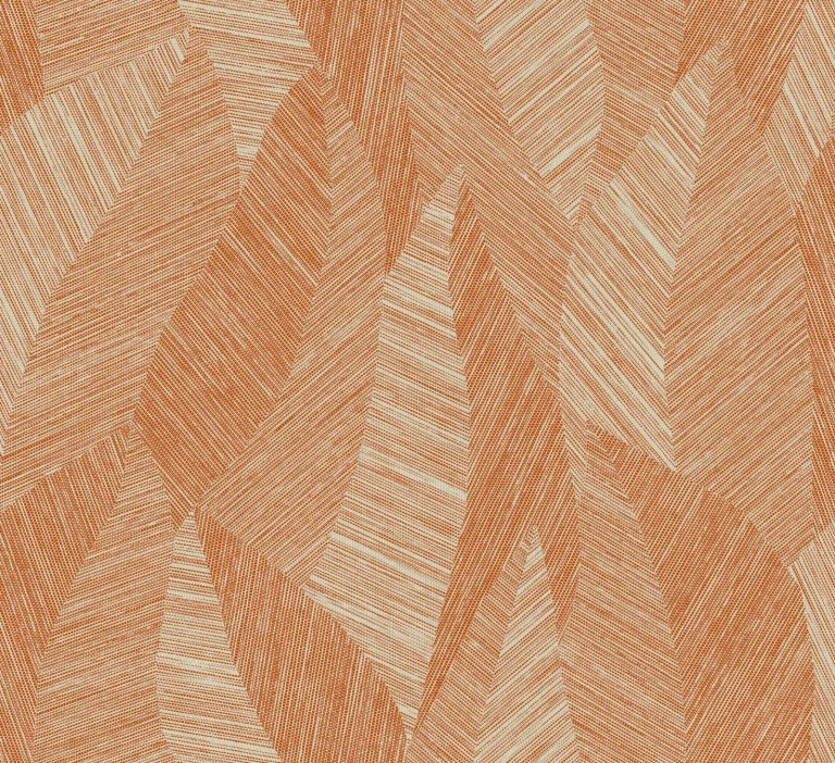 Bounty Terracotta — Ảnh 3