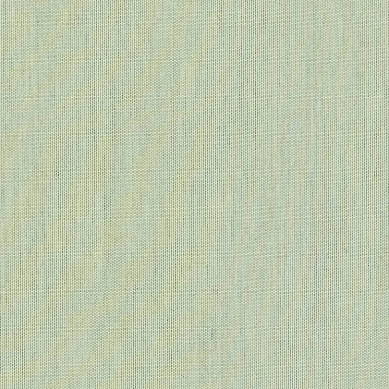 CANVAS MINT