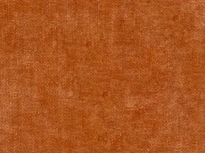 Villus 210403-4