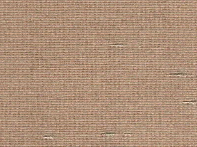 Starlight Stripe — 20020401