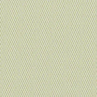 LOPI LIME