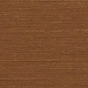Agave Hazelnut - 90530A — Image 4