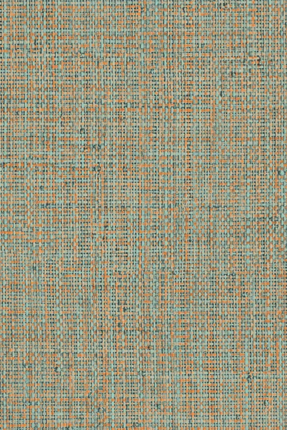 Nongo Blue Orange — Ảnh 2