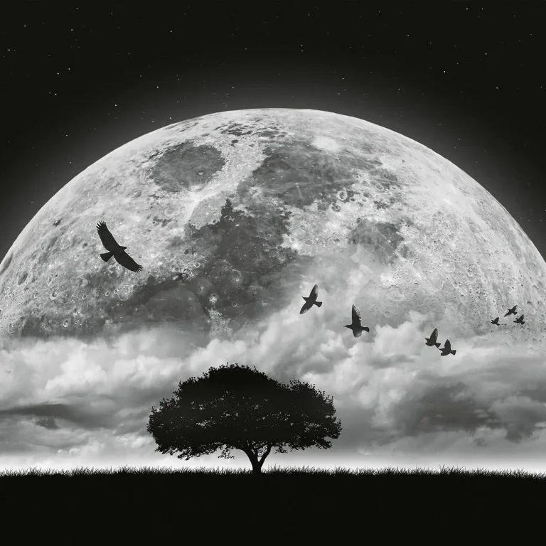 Moon & Birds - Wall Mural 5464 - 4 Panel - 192cm x 260cm — Ảnh 4