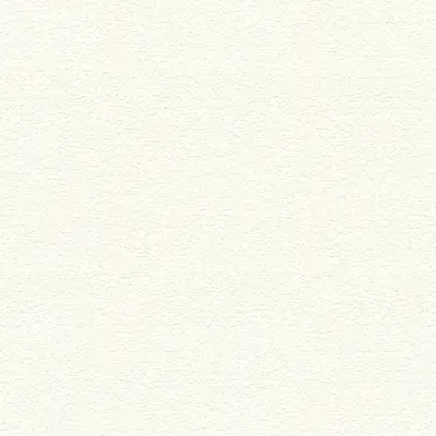 The Basic - White Beige Tone PT.02