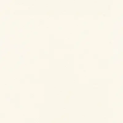 The Basic - White Beige Tone PT.01