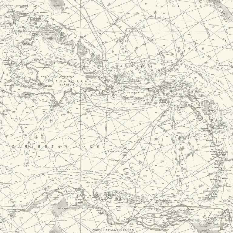 Chesapeake Charts Nautical Chart Wallpaper - Black