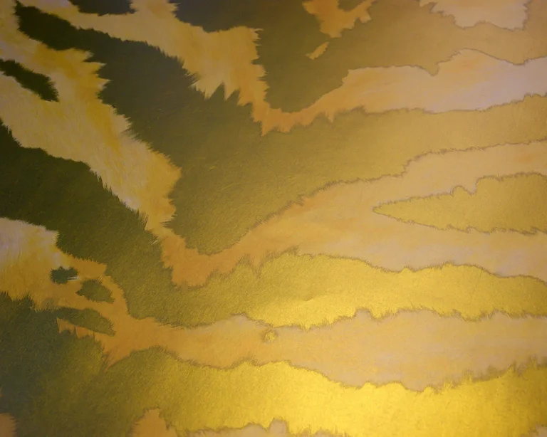 Electric Enchantment - Ambiguous Tiger — Ảnh 2