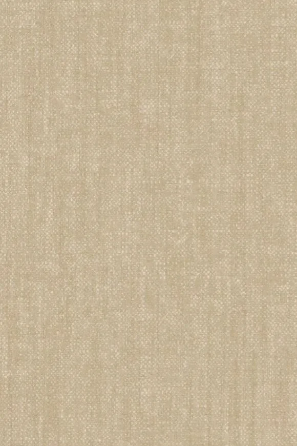 Terre De Lin Rotin — Ảnh 2