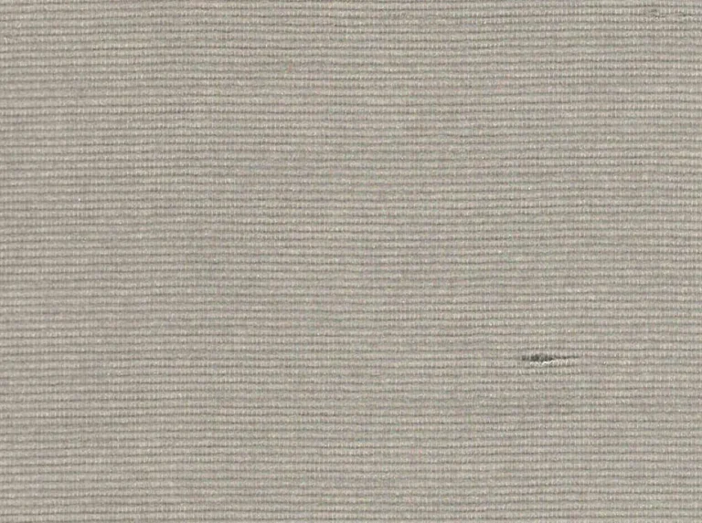Starlight Stripe 20020417 — Ảnh 2