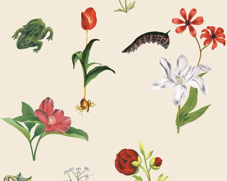 Meadow - Spring Fever — Ảnh 2