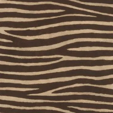 Watch Out for the Zebra Stripes! 751741 — Image 2