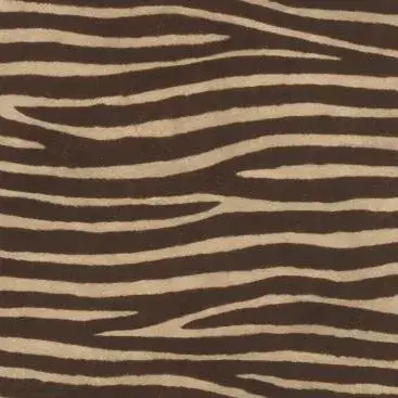 Watch Out for the Zebra Stripes! 751741