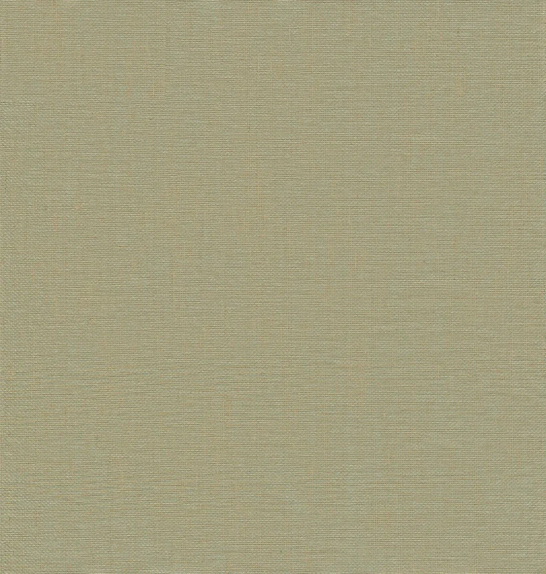 Yanyu Paper Weave Grasscloth Wallpaper - Sage — Ảnh 2